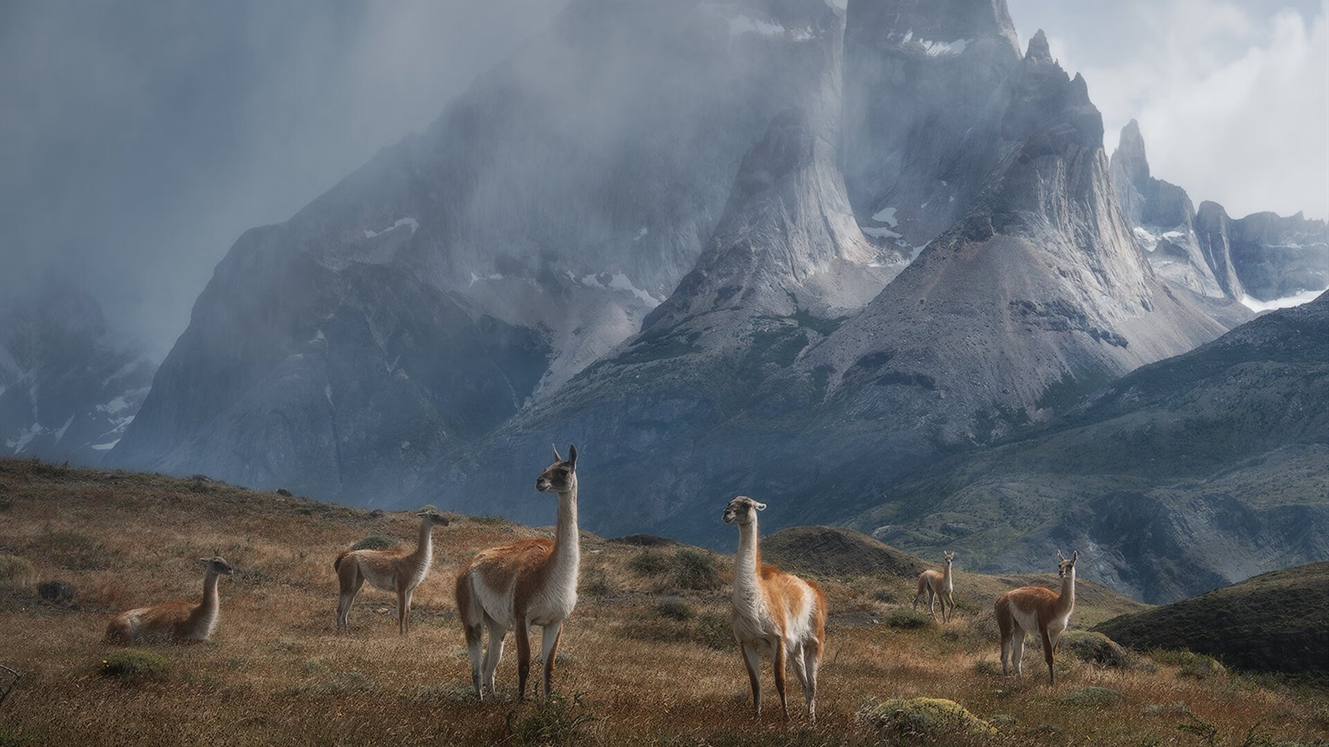 开云体育登入-中国青少年篮球联赛直播平台用户数飙升，影响力增强，中国青少年篮球公开赛