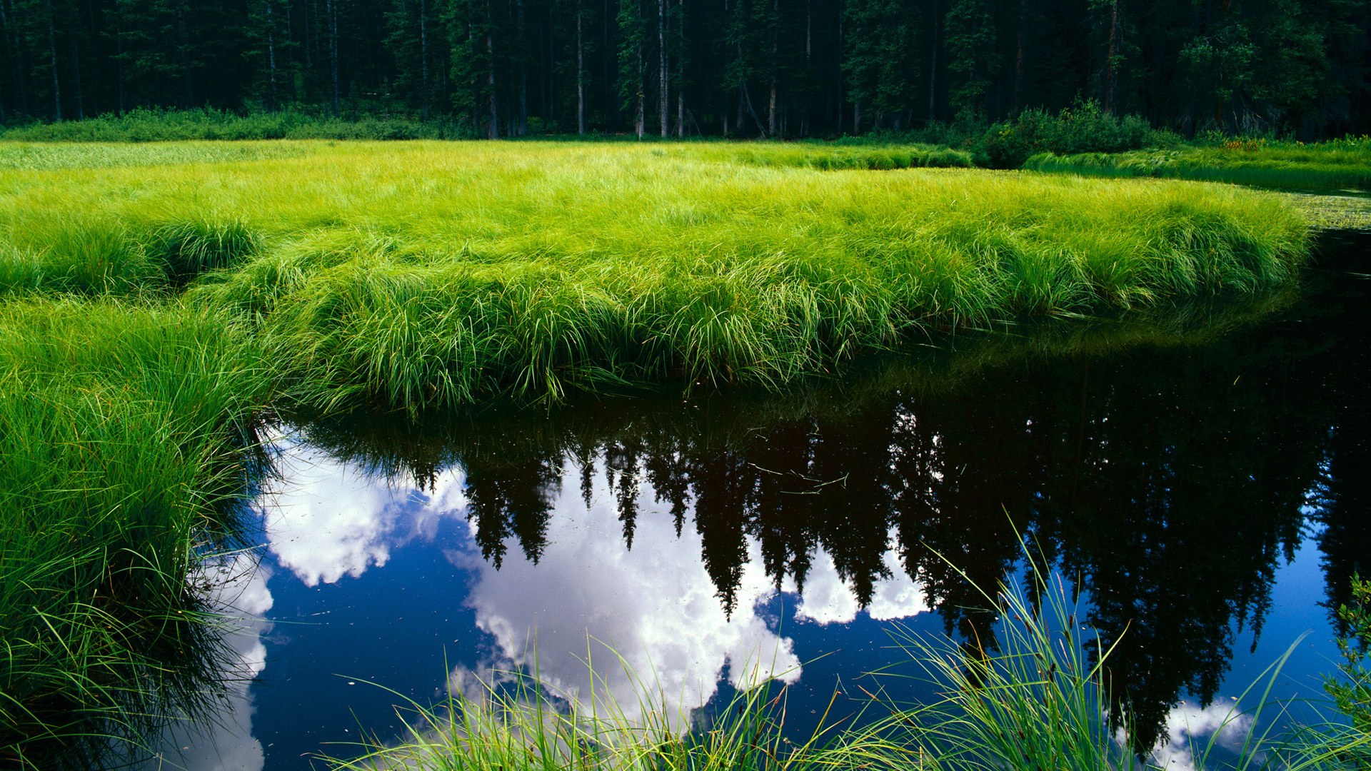 国际冲浪比赛，海浪争锋展现极限风采，国际冲浪协会